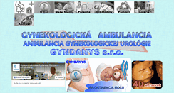 Desktop Screenshot of gyndanys.sk